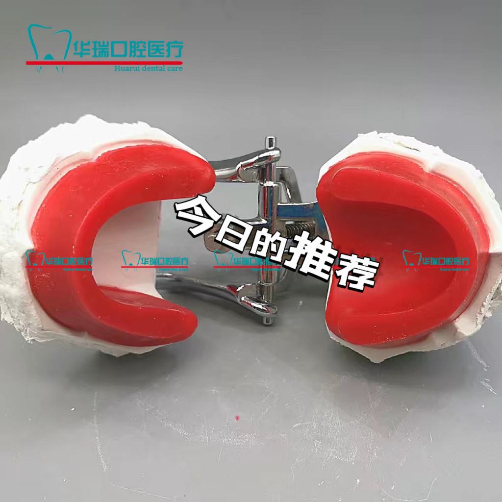 牙科 学生排牙练习材料 技工排牙蜡堤成型工具 全口义齿模型 包邮