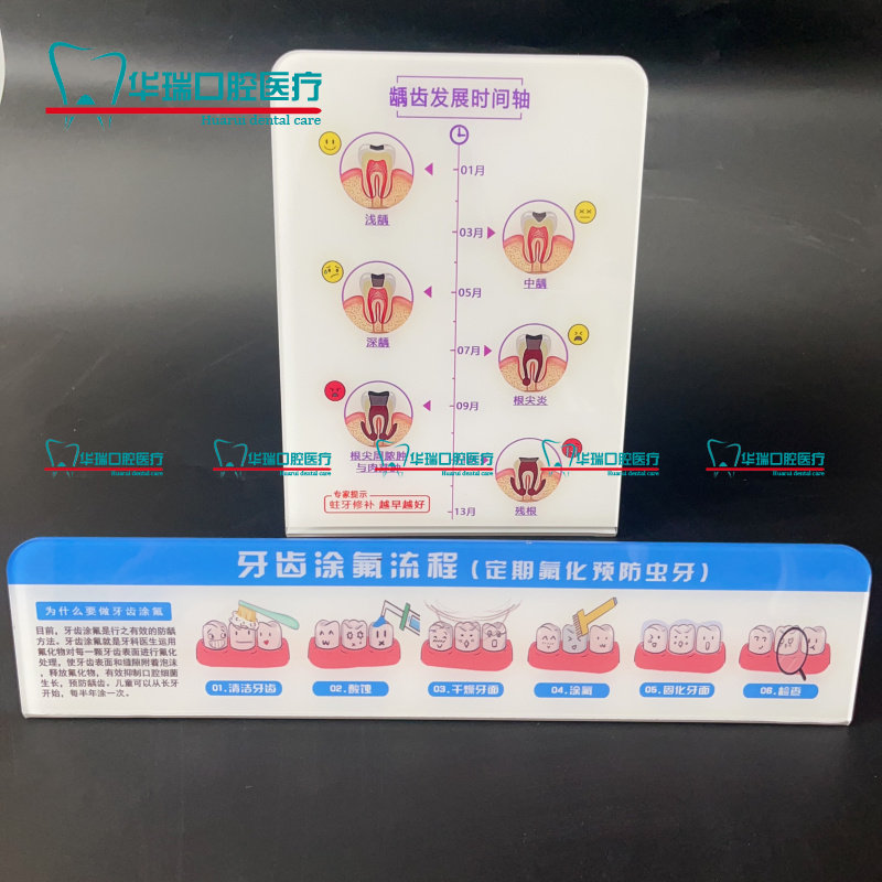 牙科医患沟通工具沟通摆台医用牙齿解剖图新款龋齿涂氟
