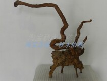 Natural Pen Holder Natural Pen holder