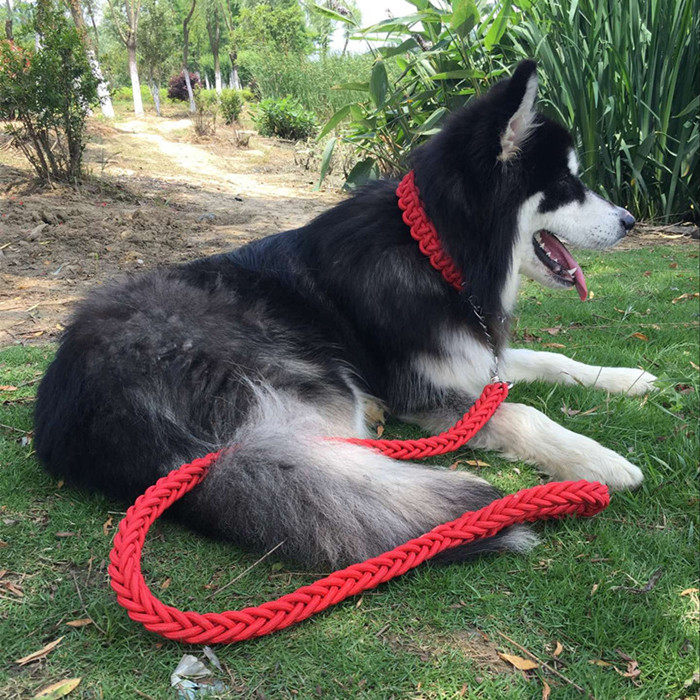 Small and medium-sized large dog dog traction rope golden retriever Labrador walking dog rope collar dog chain P chain traction belt