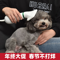 Pet Hair Dryer Pooch Bath blown hair theorizer teddy large small canine blow comb kitty muted blow water machine