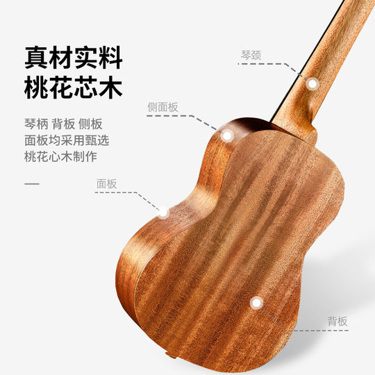 Ukulélé 23 pouces petite guitare pour enfants adulte débutant niveau d'entrée avancé fille ukulélé mâle