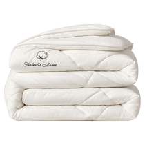 Boyang Home Textiles soy fiber quilt 50% soybean winter quilt warm quilt autumn and winter type A thickened quilt core spring and autumn quilt