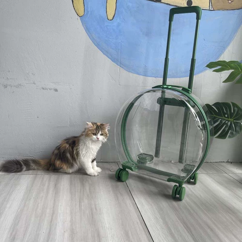 Портативный универсальный космический вместительный и большой чемодан для выхода на улицу