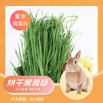 20 years of new high-quality dried ryegrass hay Guinea pig Dutch pig rabbit hay food Totoro forage Rabbit food