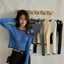 Undershirt Woman Autumn Winter Season with a fur coat 2021 new Dont give an advanced unique design sensation Little crowdsourced blouses