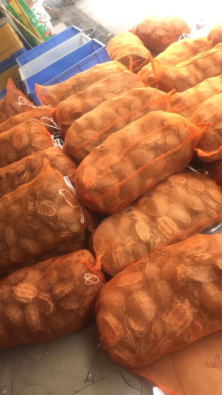 Turtle turtle snapping turtle transportation packaging breathable mesh hollow with closing rope plastic mesh bag