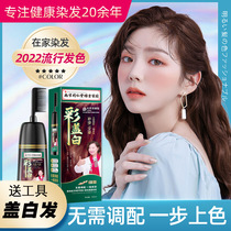 Nanjing Tongren Hall 1 comb Colouring Hair Cream Natural Plant A Comb Dye hair Dyed Hair 2022 Pop Color