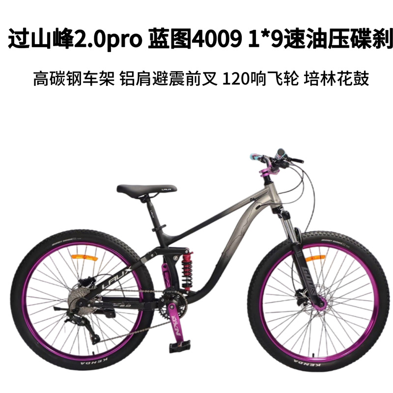 Rex Overmountain 2.0 Soft-Tail Mountain Bike with Dual Shock Absorption, Street-Style Hub, Hydraulic Disc Brakes, Student Bike, Off-Road
