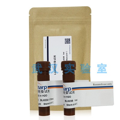 biosharp Lip2000转染试剂0.5ml 1ml BL623B Transfection Reagen