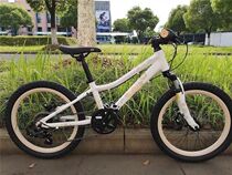 LIV Giant CATE20-D Kate 20 inch Girl Schoolboy Childrens Disc Brake Variable Speed Mountain Bike