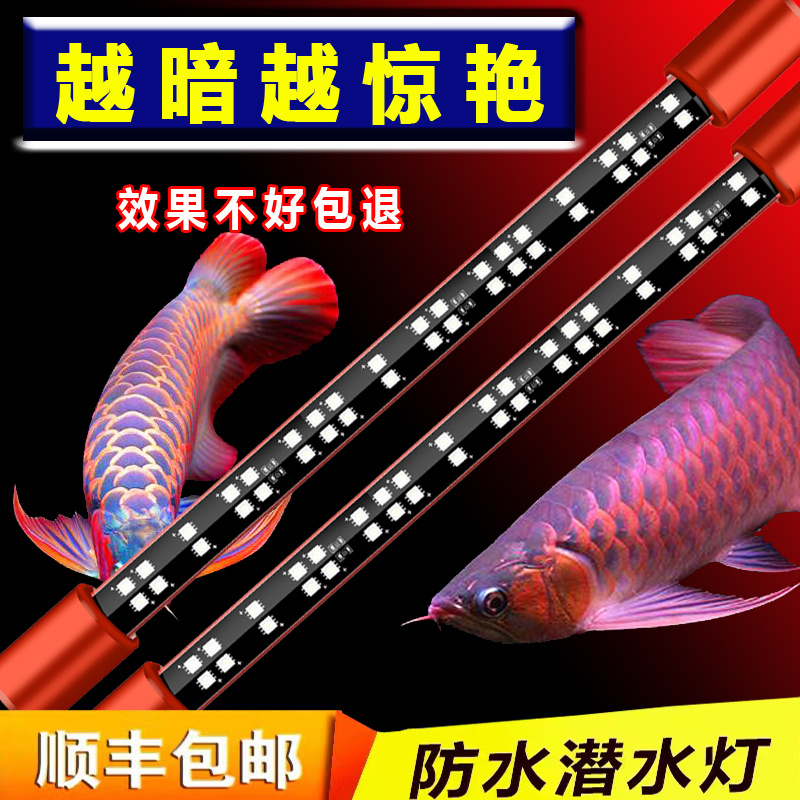 Maprint god lamp flagship store Bright Red Dragon Fish Special Parrot Light Hair Fish Tank Lamp Led three-base color waterproof light