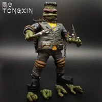 Ninja Bod Turtle (Scientific Weird)