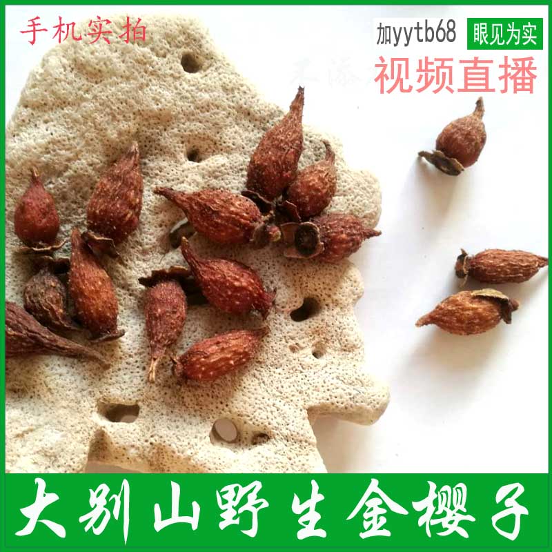 2019 new product Dabie Mountain wild golden cherry prickly pear mountain pomegranate sugar jar farm picking 500 grams