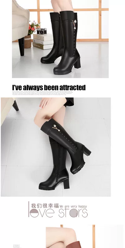 2020 New Snow Yierkang Phụ nữ Boots Trung bình Cao dày Dày dài Boots cao gót len ​​Ấm áp của mẹ Boots cotton - Kính khung