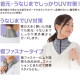 Japanese purchasing agent for warm season, sun protection, cool feeling neck cover, fake collar cover, anti-UV neck guard, breathable and non-stuffy three-color Korean version