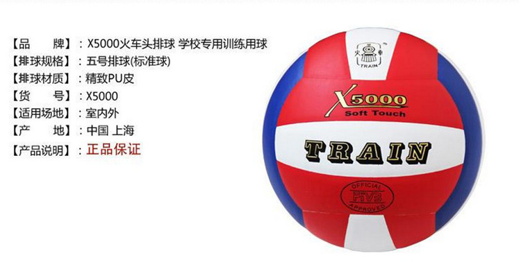 Ballon de volley - Ref 2010680 Image 4