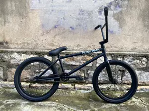 Непобедимая стоимость дома BMX V5 Транспортный автомобиль Полный подшипник 9,3 Большой проходной проход Проход Профессиональный колес