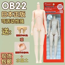 obitsu素体 22cm新版 小胸中胸大胸 ob22少女素体  日本正版 