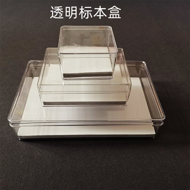 小号透明昆虫标本盒 水晶标本盒 迷你针插标本盒  展示盒 收纳盒