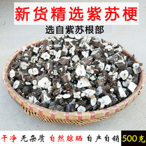 New selection of perilla stem root Chinese herbal medicine stalk Rod 500g self-produced and self-sold fresh Su leaf cotyledon