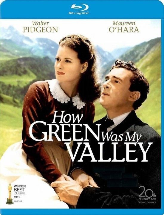 Bt下载 青山翠谷how Green Was My Valley 1941 1080p Bluray Avc Dts Hd Ma 5 1 Fgt 迅雷下载 百度云下载