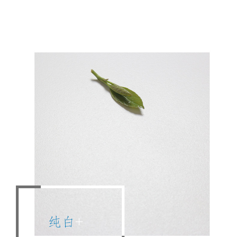 Фрукты черно -белый серый_09.jpg