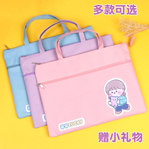 File bag zipper double-layer large-capacity cute cartoon primary school student tutoring tote bag birth inspection information storage bag