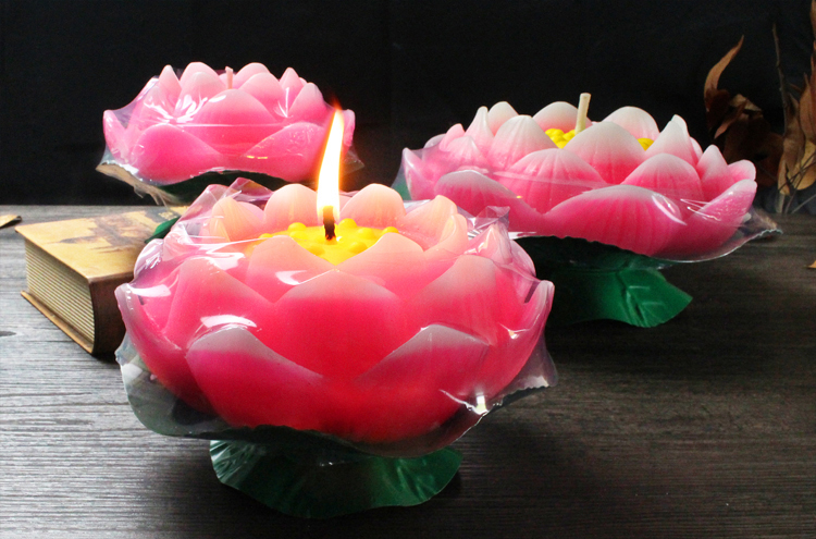 Bougie - Ref 2490787 Image 13