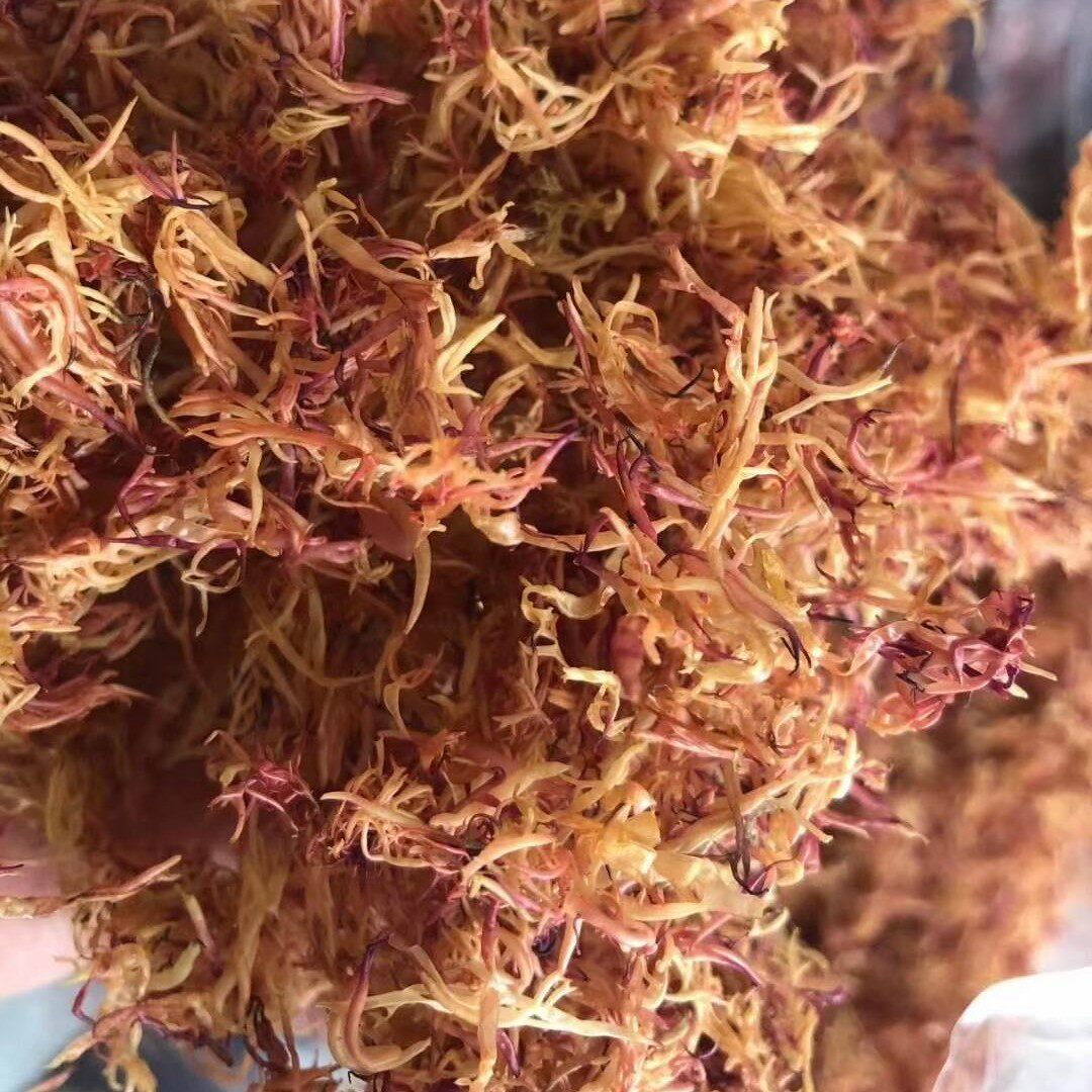 Chaoshan red cabbage specialty dry goods authentic wild South Australia red cabbage submarine bird's nest seaweed a bottle of net 50 grams