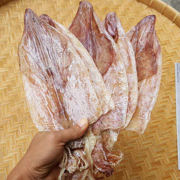 Chaoshan specialty high quality dried squid fresh mustard barbecue dried calamari 500g 10-11 head