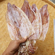 Chaoshan specialty high quality dried squid fresh mustard barbecue dried calamari 500g 10-11 head