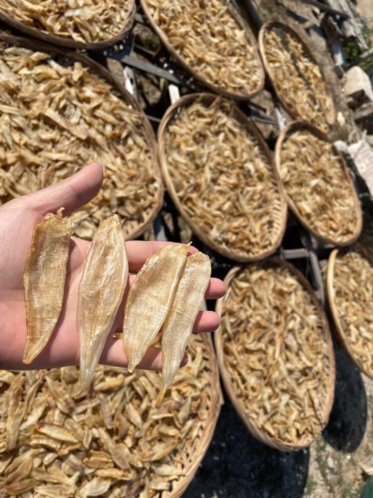 Real shot wild flower glue dry deep sea pregnant woman nourishing small fish glue specialty Golden Dragon glue 250g