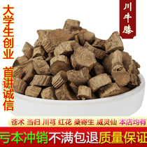 Sichuan bidentata Chinese herbal medicine 500g wild biathula Sichuan New Years Bull Lacquer Can Grind Powder of Chinese Herbal Medicine Shop