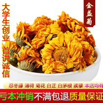 Golden Chrysanthemum Natural Authentic Authentic class of flowers and grass Tea New stock 500 gr Chinese herbal medicine Bulk one catty