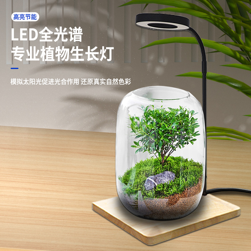 Led Plant Growth Light, Micro-Landscape Light, Bamboo Board Light, Wooden Board Light, Fish Tank Light, Moss Light, Succulent Plant Fill Light