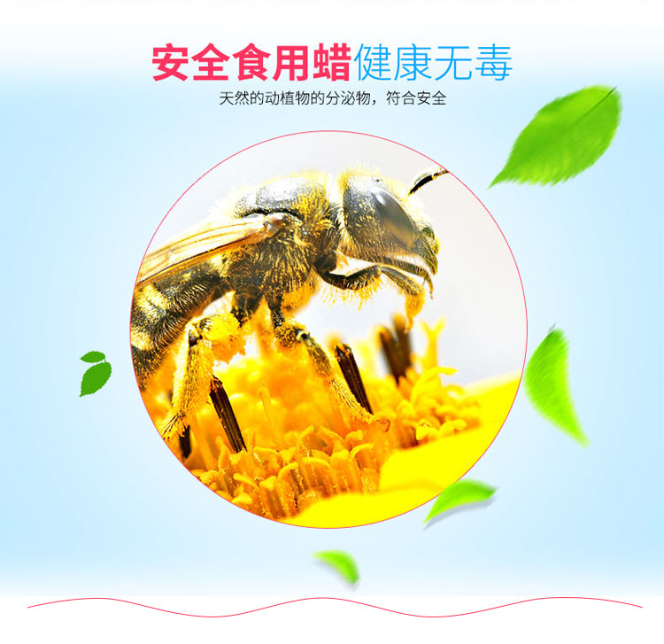 Bougie - Ref 2488451 Image 10