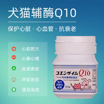 Japanese pet cat and dog special Coenzyme Q10 cardiac hypertrophy myocardial infarction failure cardio-cerebrovascular shortness of breath anti-aging