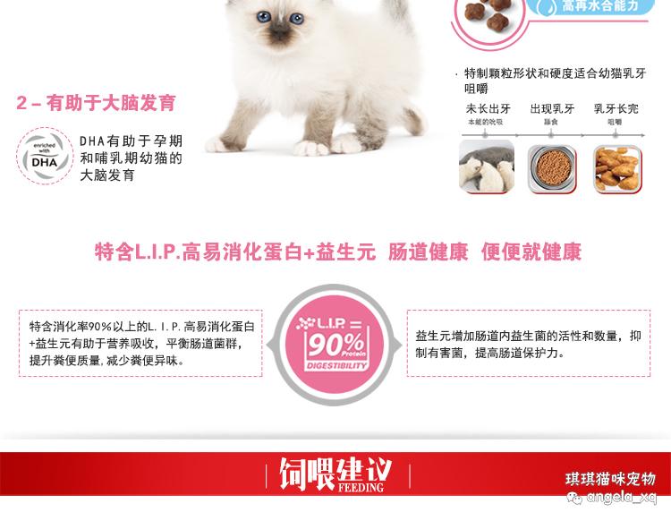 Thức ăn cho mèo con Royal K34 1-4 tháng cho con bú thức ăn cho mèo thức ăn cho mèo sữa 400g * 3 - Cat Staples thức ăn cho thú cưng