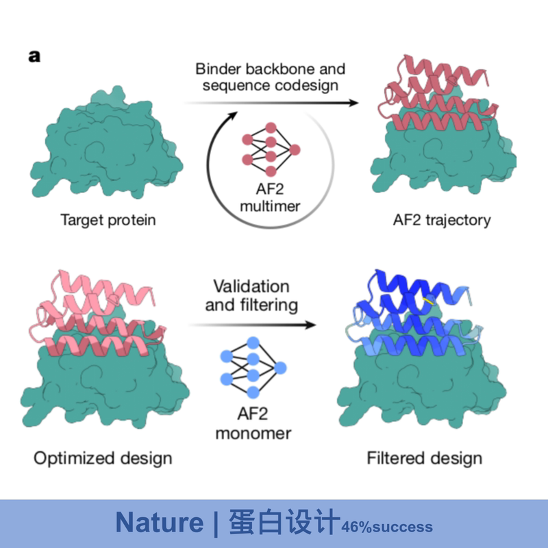 Protein Complex Design Ai Protein De Novo Design Protein Design Peptide Design Bindcraft Protein Complex Design Ai Protein De Novo Design Protein Design Peptide Design Bindcraft