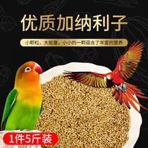 Imported Ghana Lizi Tiger Skin Xuanfeng Parrot Bird Food Feed Pigeon Grass Seed Canary Seed 5 Jin