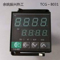 Factory direct sales Yuyao Zhenxing Thermal Instrument Factory TCG-8031 K 220V 0～400 c