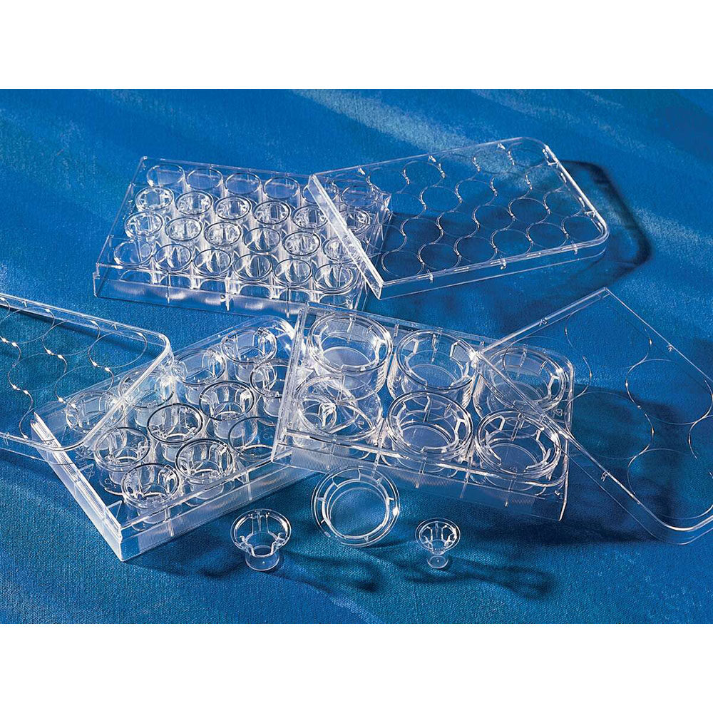 Corning 3450 Transwell嵌套，含6孔板 (带聚脂膜24mm0.4um)康宁