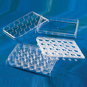 康宁Corning 3378 0.4um孔径，TRANSWELL-24系统膜嵌套，PET膜