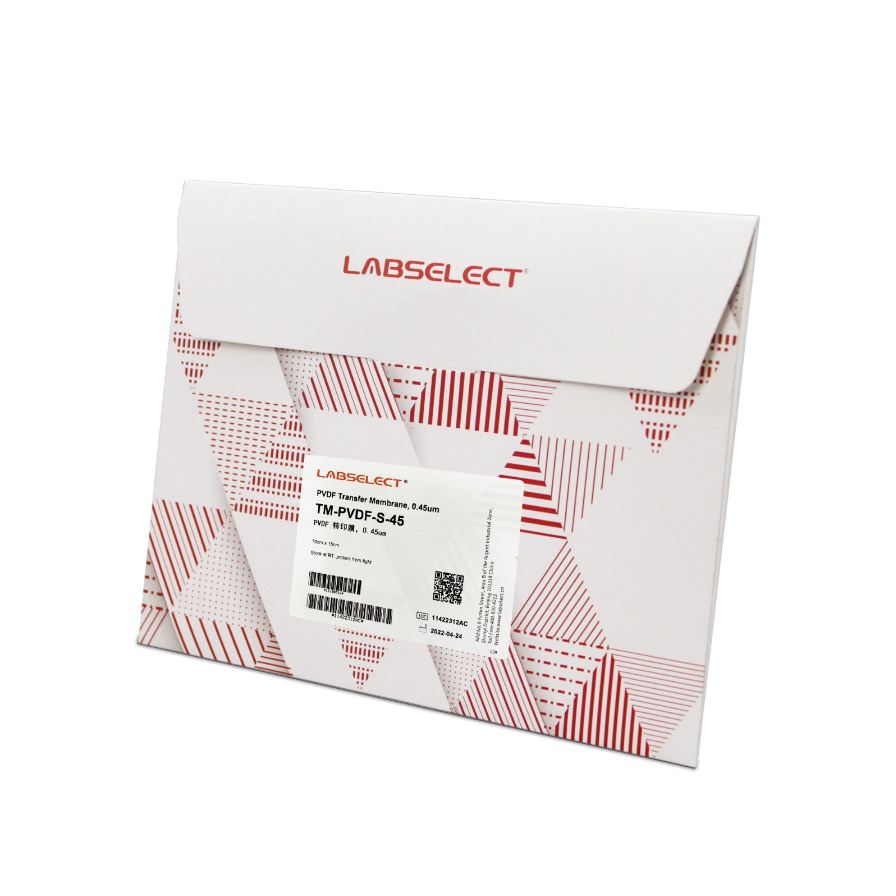 LABSELECT TM-PVDF-S-45 PVDF转印膜，0.45&mu;m (10cmx15cm)