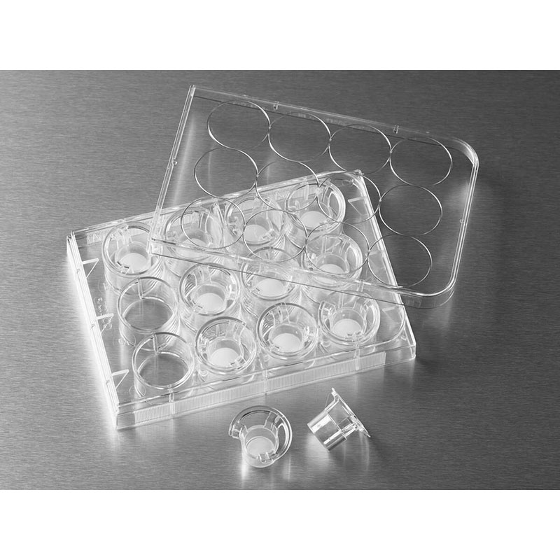 Corning 3402 Transwell嵌套含12孔板 聚碳酸脂膜12mm3.0um康宁