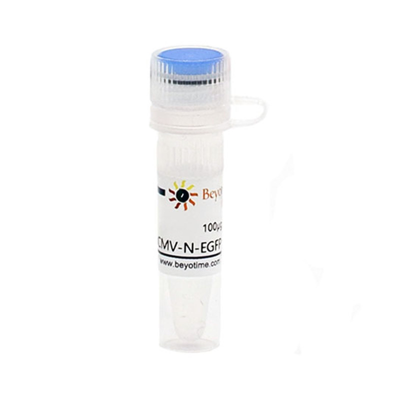 D2707-100&mu;g  pCMV-N-EGFP (绿色荧光蛋白)