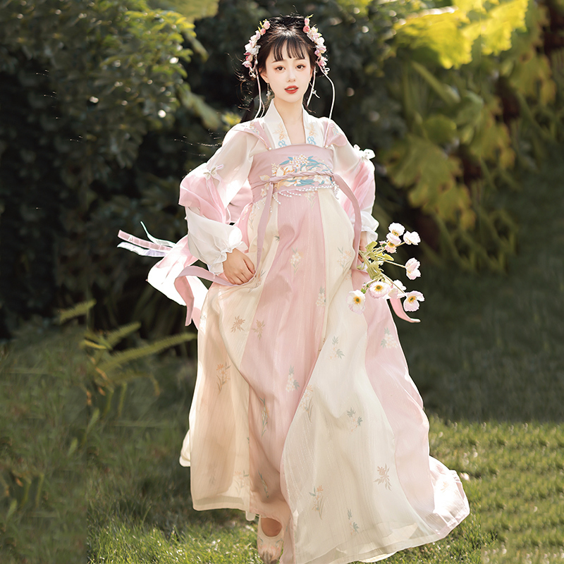 Yihanxi Original Hanfu for Women [Qianmo] Tang-Style Mid-Length Skirt with Embroidery, Han Elements, Modified for Daily Wear, Spring/Summer Edition