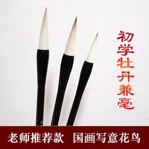 Zan Yongan recommends beginners freehand flower and bird special large medium and small sheep and brush set Chinese painting peony pen