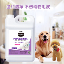 Dog bath with 9 pounds of bacterial deodorization and deodorization bath fluid Teddy Golden Dog bath fluid pet shampoo